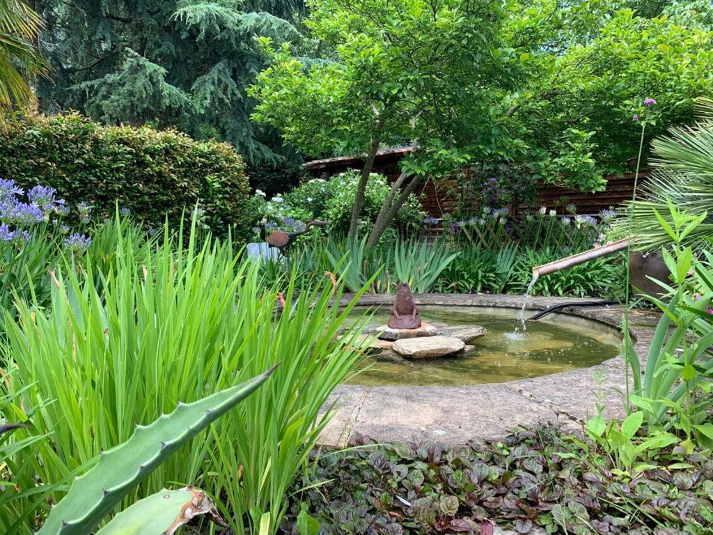 Maison En Pierre Dans Son Nid De Verdure Roz-Landrieux Εξωτερικό φωτογραφία
