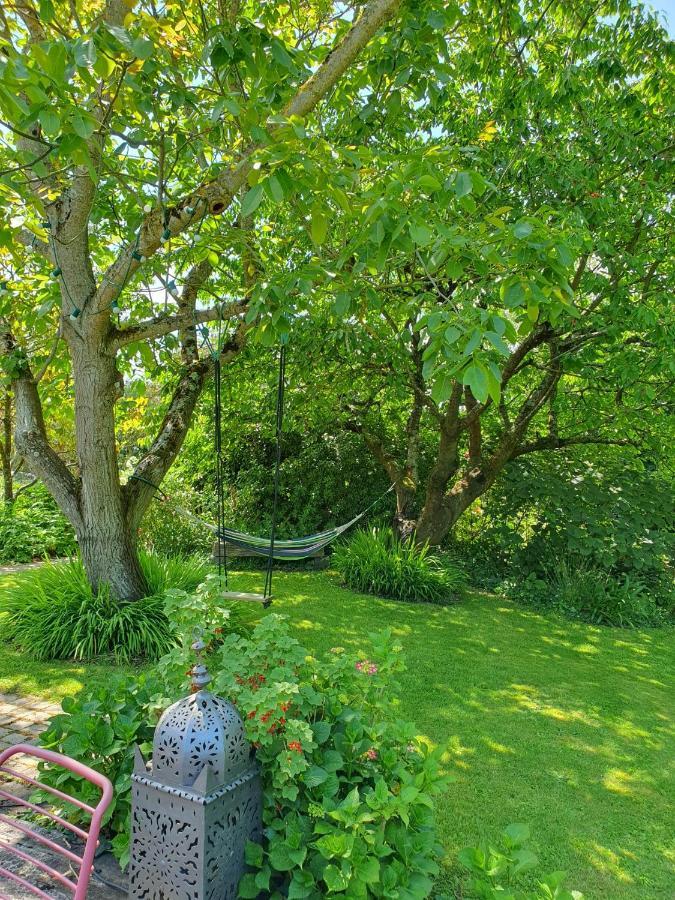 Maison En Pierre Dans Son Nid De Verdure Roz-Landrieux Εξωτερικό φωτογραφία