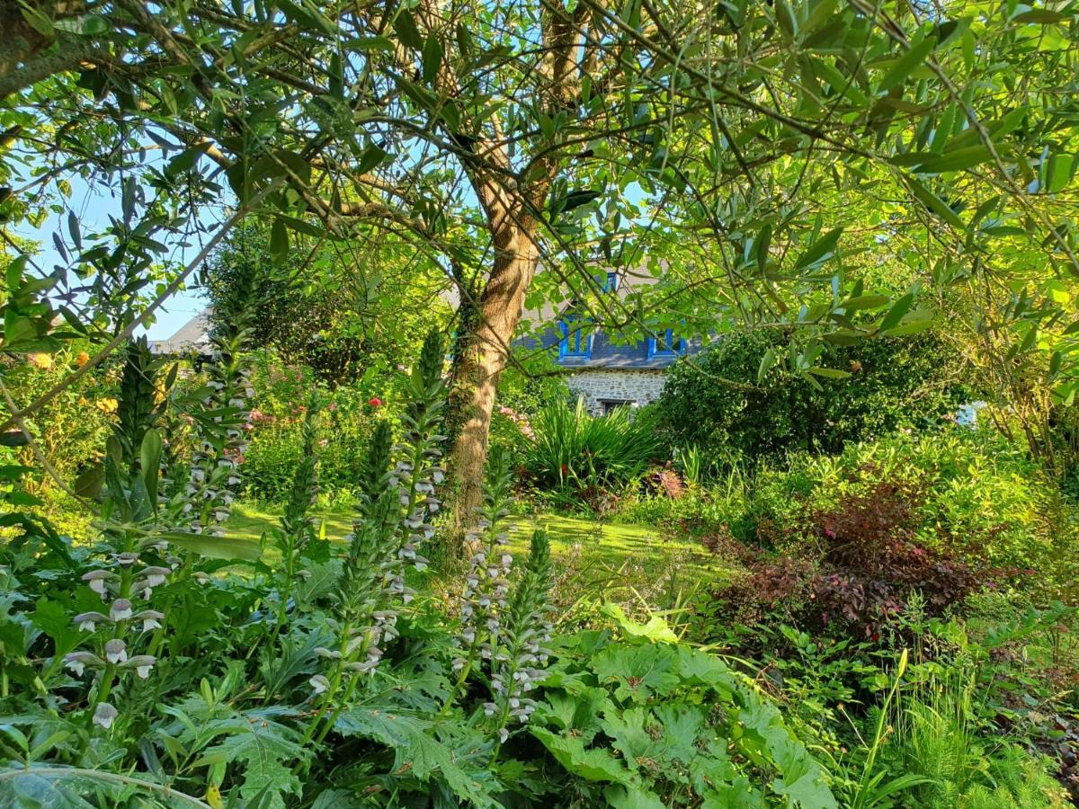 Maison En Pierre Dans Son Nid De Verdure Roz-Landrieux Εξωτερικό φωτογραφία