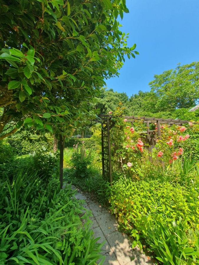 Maison En Pierre Dans Son Nid De Verdure Roz-Landrieux Εξωτερικό φωτογραφία