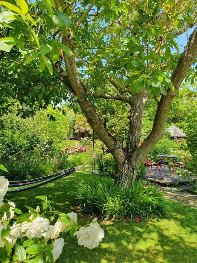 Maison En Pierre Dans Son Nid De Verdure Roz-Landrieux Εξωτερικό φωτογραφία